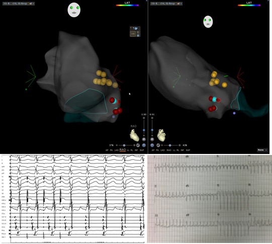 Michael Co tweet media