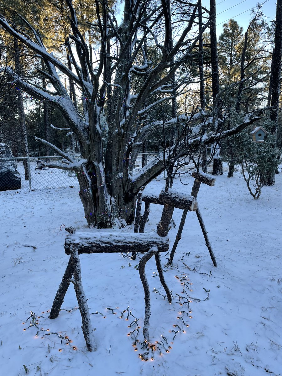 ginaelucas's tweet photo. Beautiful morning up in the White Mountains for a first #snowfall this winter! #whitemountains #az #overgaard #azwx https://t.co/xPik2iqFVJ