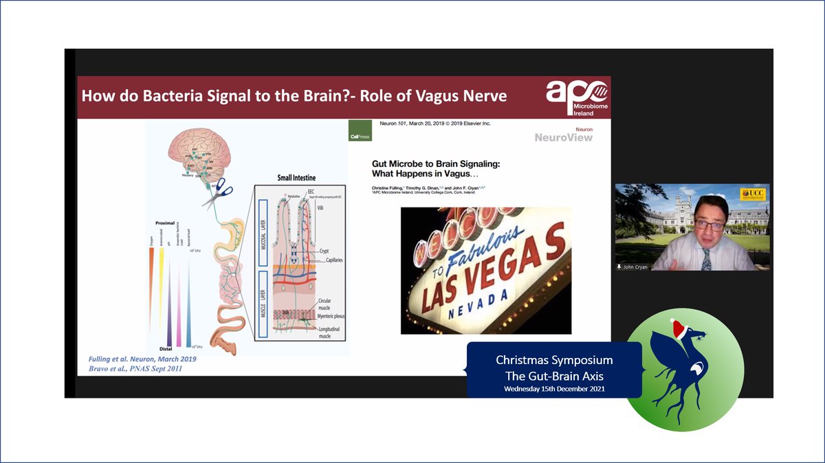 LNeuroscience's tweet image. Great presentations by @EmilyJBethell & @jfcryan at this year's Christmas Symposium on the Gut-Brain Axis. 
(Though we're left wondering... can yoghurt make you a glass-half-full person? What about mince pies?)