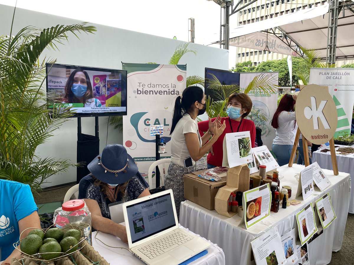 TataZambranos's tweet photo. #AEstaHora 🔴| Participamos en el encuentro de ‘Huertas por la Vida’, un espacio de reconocimiento a las distintas experiencias comunitarias sobre huertas orgánicas y visitamos a los productores rurales del proyecto #CaliCircular ♻️✅
#TeQueremosCali
💙❤️💚 https://t.co/88C4j1SFxU