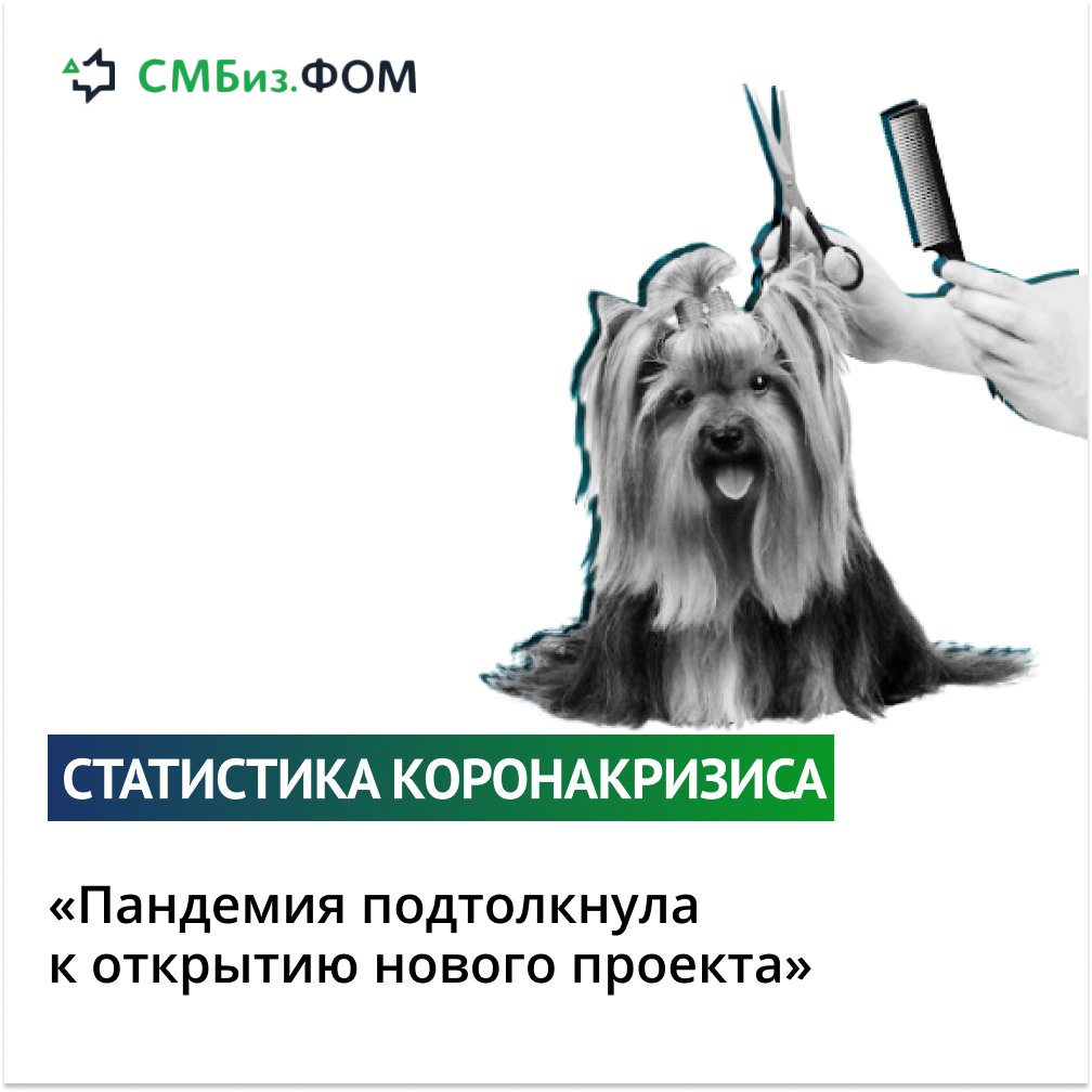 «Пандемия подтолкнула к открытию нового проекта»
🔊
Сеть салонов для питомцев Pet Cut — один из примеров успешного запуска проекта в пандемию. С момента открытия первого салона, в августе 2020 года, компании удалось достичь высоких финансовых результатов… t2p.pw/r36LwDJuWj