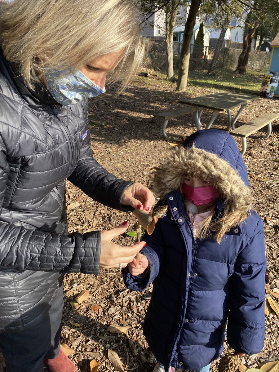Exploring the natural world around our school with Ms. Spranger. <a href="/APS_FleetES/">Fleet ES</a> <a href="/SusanSpranger/">susan spranger</a>
