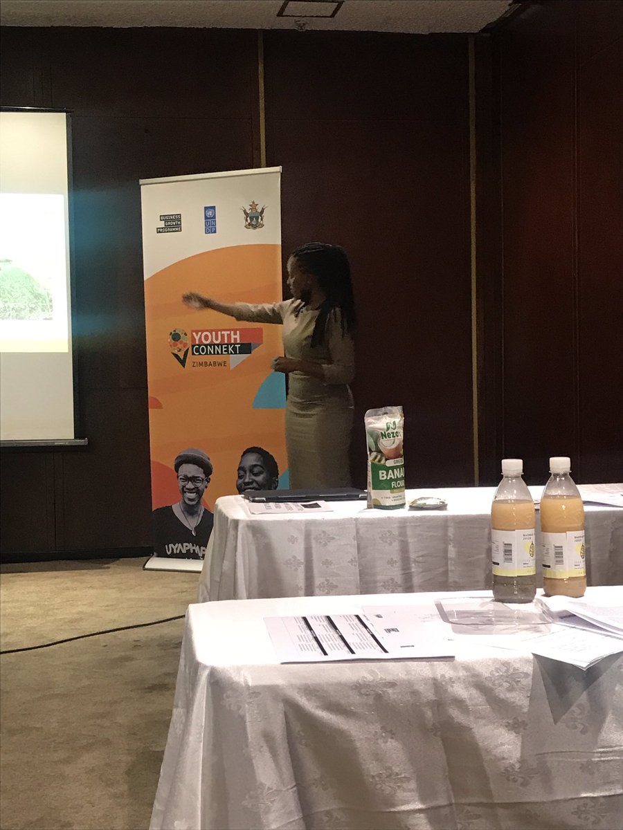 @YouthConnektZim @UNDPZimbabwe Thank you for this eye opening event.