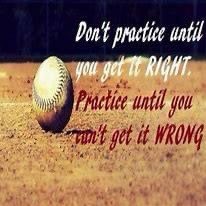 Lehighton Baseball tweet media