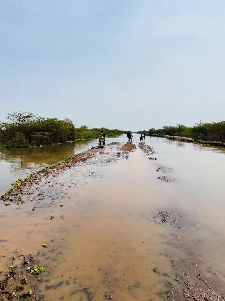 mfjhollingworth's tweet photo. All 7 counties of #Unity, #SouthSudan, are affected by the worse floods since 1962; the #Sudd has changed forever & we need a massive #humanitarian & #development effort to build-back-better. The photos aren’t a river: that’s the main-road to #Guit, #Leer, #Mayendit, #Panyijiar! https://t.co/ZNenHYk9NN