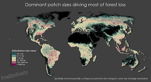 NAcil_research's tweet photo. Comparison between inside and outside intact forests shows that humans are amplifying and homogenising disturbance rates across the world. Want to learn more? Come along and watch my oral presentation at #AGU21 https://t.co/mNtroFUYQ7 @TomPughLab @Wild_inBrum @corneliussenf https://t.co/o4qIQAkqkq