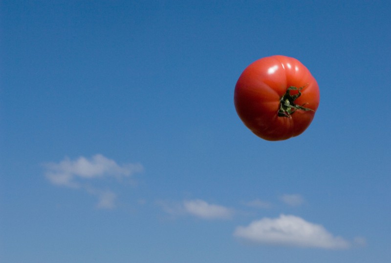 NatureBiotech's tweet photo. GABA-enriched tomato is first CRISPR-edited food to enter market - @EmWaltz https://t.co/n5YB0Akr8z https://t.co/udVh7l9Epb