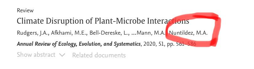 I don't want to brag about this, but I think I won the award for 'best transformation of a last name in the Latin alphabet' I want to thank the prestigious academic searcher @Scopus for replacing 'ñ' for the Very creative 'ntilde' So my name changed from Nuñez to Nuntildez💫