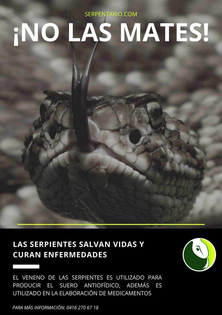 Serpentariocom's tweet photo. Si te encuentras con este tipo de animales, llama a especialistas.

¡No los mates! https://t.co/MTvvetssZI
