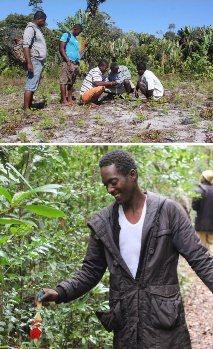 Hey guys 👋 We have just received An update from seed Madagascar! Take a look at what has been going on 🙌🏻

It’s just amazing that we can help out!

<a href="/SEEDMadagascar/">SEED Madagascar</a> #seedmadagascar #madagascar #powerofcrypto #defi #charity #weneedtime