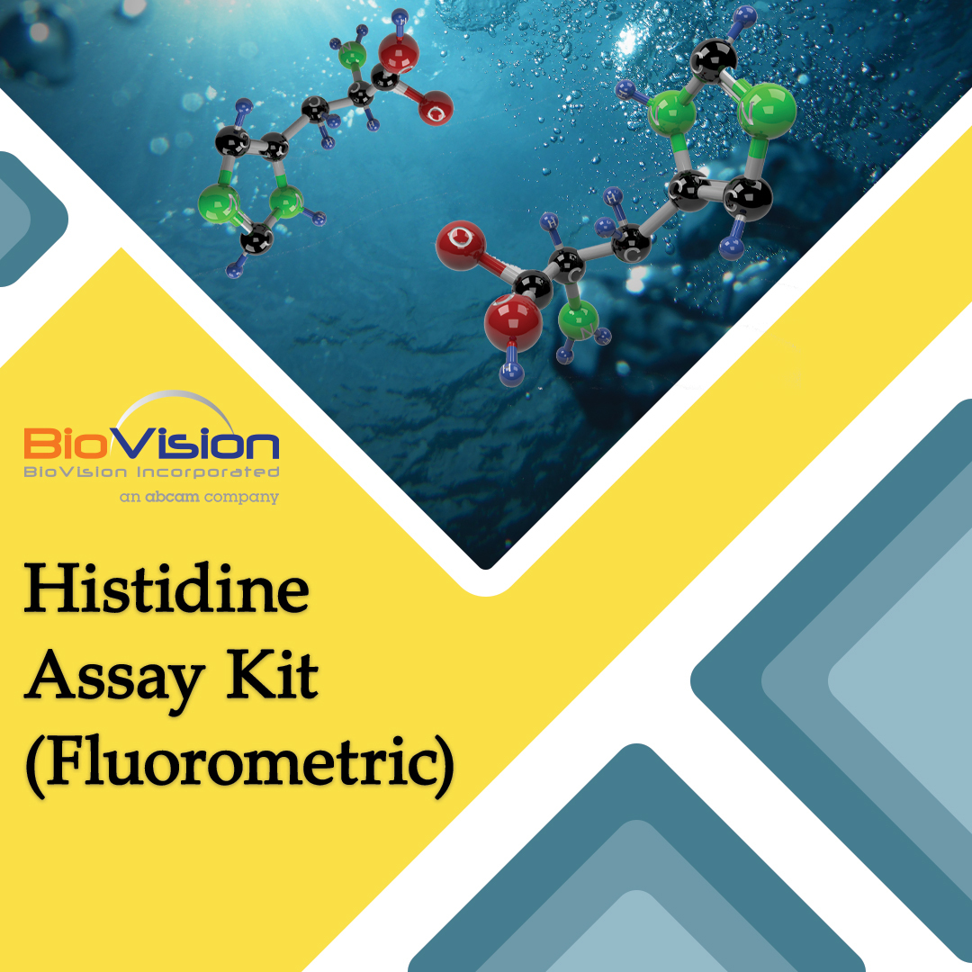 BioVision_Inc's tweet image. BioVision’s Histidine Assay Kit (K2118-100) is a simple, specific and highly sensitive assay kit to quantify L-Histidine levels in various biological samples.  hubs.ly/Q010Prh50 #biotech #biotechnology #science #biology #microbiology #research #dna #molecularbiology #lab