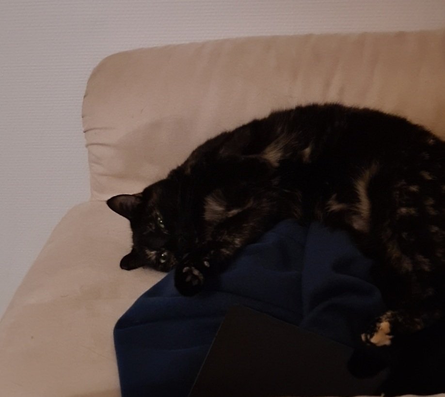 R-B | Joyleen 🏆 tweet media