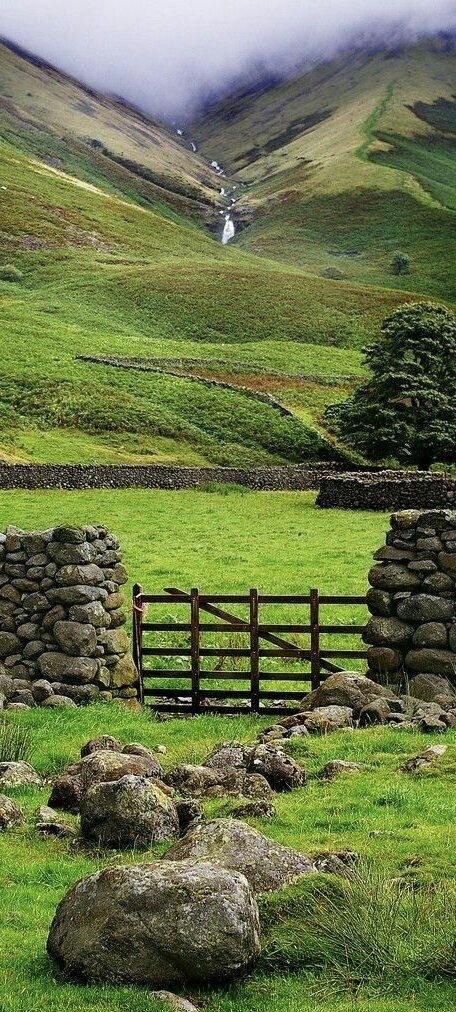 أنوار tweet media