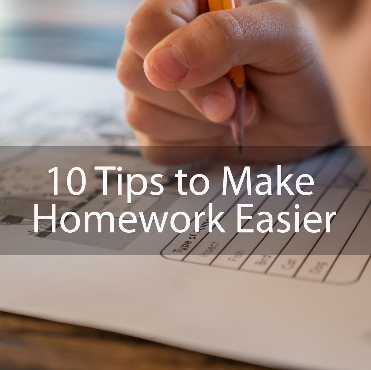LearningRxRH's tweet photo. Is #homework a struggle? Frustrated that you have to nag your child to get through the simplest assignments? Here are 10 tips to help smooth the process! https://t.co/sJvfRrJNG4

#homeworkchallenges #studentsupport #studentsuccess #momsofontario #dadsofontario #parentingontario https://t.co/L97CeZ7ERV