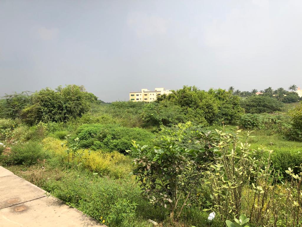 SpazedealI's tweet photo. #Land Parcels AVAILABLE at #Chennai #India.

#WhatsApp to +91 979 100 4236 for further details

Thank You. Good Day !

#WarehouseProject #Logistics #SCM #SupplyChain #SupplyChainManagement #SupplyChainCrisis #SupplyChainSecurity #SpazeDeal @WarehousingShow #Corporate #industrial https://t.co/c5AG89cNEh