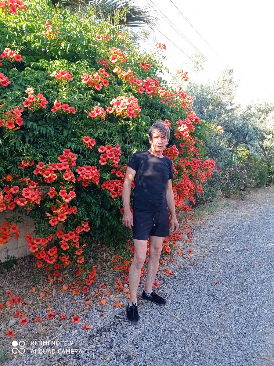 M.Tsn.K (@mtsnk3) on Twitter photo 