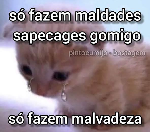 animaisfrases_'s tweet image. 