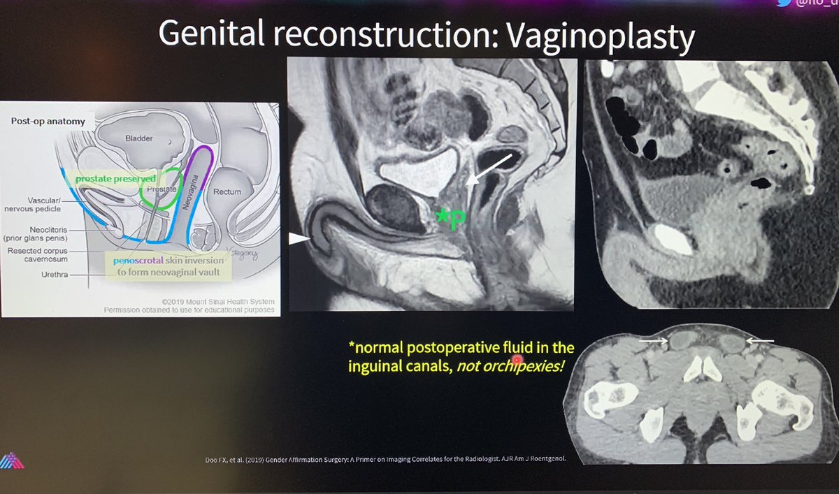 Judy Yee tweet media
