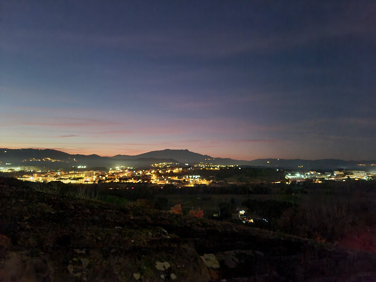 @10.cat Dimoni tweet media