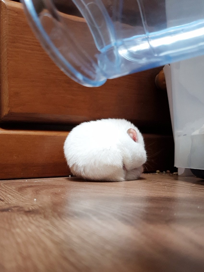 이 사진은 볼 때마다 어이없고 웃기다
깨웠는데 무시하고 자ㅋㅋㅋ