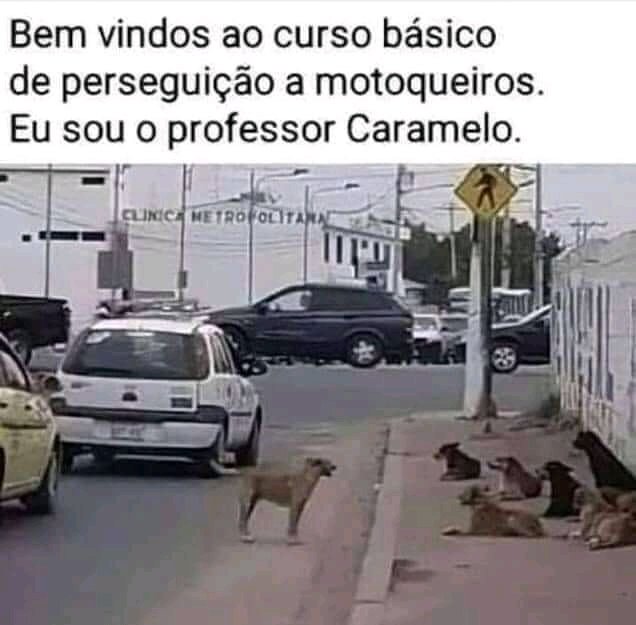 AndersonFsdv's tweet image. Professor Caramelo! Kkkkk