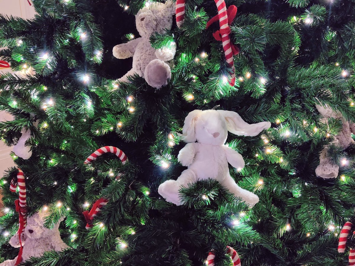 Alexandra Bideaua tweet media