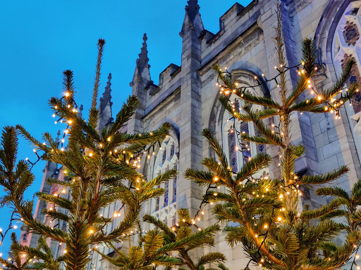 Alexandra Bideaua tweet media