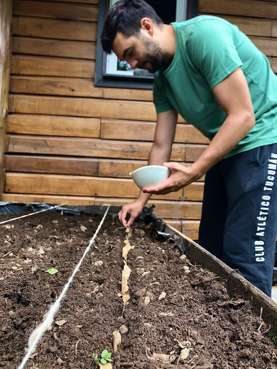 Hoy comenzamos 🙌🏼 con los ensayos de germinación de árboles 🌱 nativos de Yungas Australes en <a href="/UkLatam/">CONTAIN LATAM-UK</a> #CONTAIN <a href="/pri_powell/">Priscila Powell</a> <a href="/HuidobroNahuel/">Nahuel Ruiz de Huidobro</a>