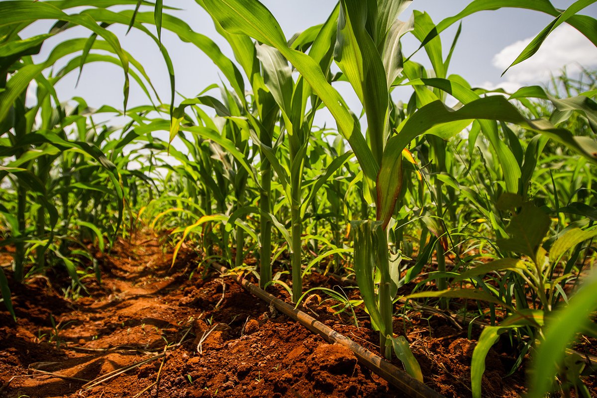 "When Data Ceases to Be Helpful" - Visit our website (fintrac.com) or click the link below to read the first article in a new Fintrac series and discover why we think less indicators and more nuanced analysis is needed: 
fintrac.com/sites/default/…