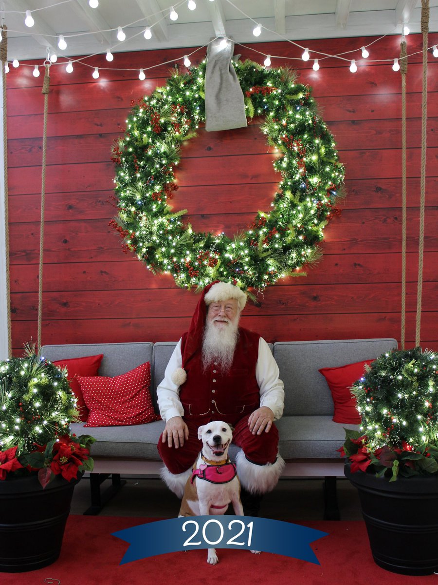 SpaceRayDio's tweet image. A little Holiday Cheer from pup Shiner! @ShinerBeer