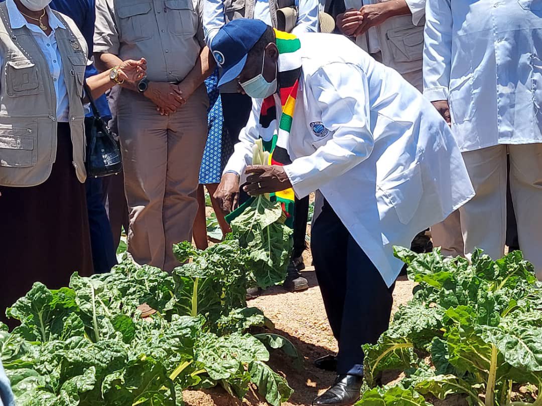 Nick Mangwana tweet media