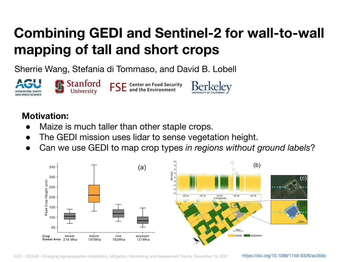Sherrie Wang tweet media