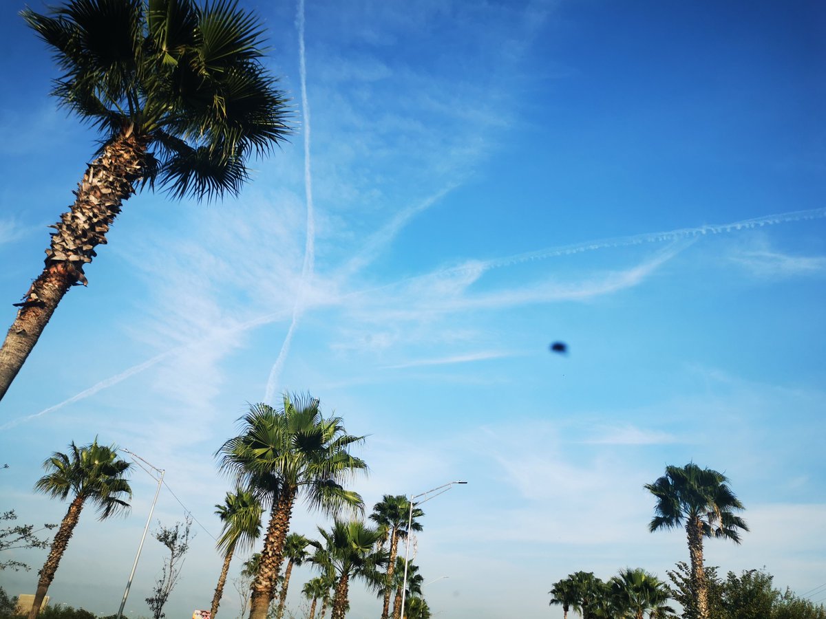cool_skyangel's tweet photo. Omg!!!
#cotcc
#chemtrails
#chemtrailsoverthecountryclub
#Monterrey https://t.co/WU1QIMrqvs