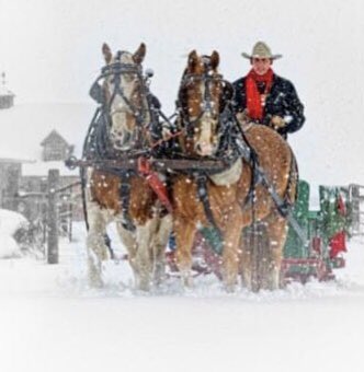 SunrisePacksta1's tweet photo. Fresh snowβ¦. Fresh powder and fresh tracks with the sleigh! Yes, we got some white stuff. Come enjoy the season! #snow #sleighride #horse #holidayseason #montana #christmascardphoto https://t.co/ztRgf4VnHl