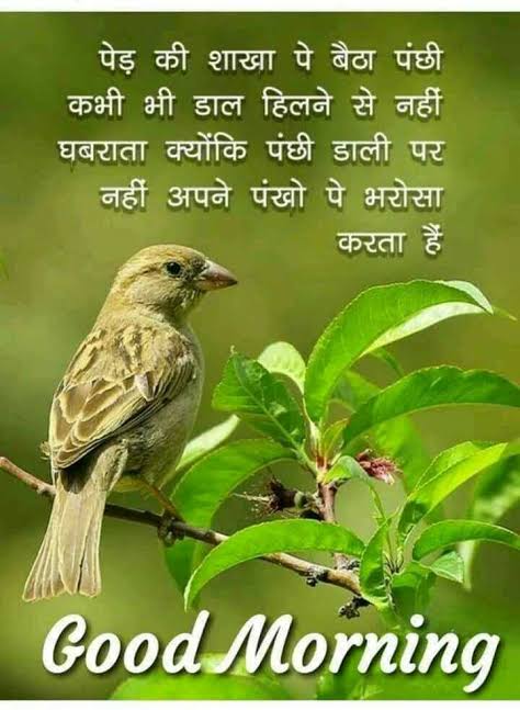 manisha_shukla_'s tweet image. जीवन 😊 की सबसे महंगी 🔥 चीज़ है
 आपका 😗 वर्तमान !!
जो 💕 एक बार चला जाये तो 🤗 फिर !!
पूरी 🌏 दुनिया की संपत्ति से भी 💕 
हम उसे खरीद नही🔥सकते !!

🌞🌿🌷शुभ प्रभात🌷🌿🌞
🌞🌿शुभ गुरूवार🌿🌞
🌞🙏🌷ऊँ नमः शिवाय🌷🙏🌞
🌞🙏जय श्री हरि विष्णु जी🙏🌞
@jmd_swastik 
@SmitaMi78714114