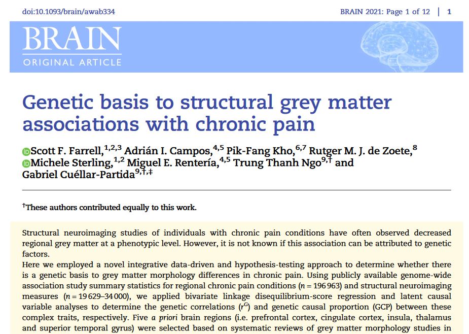 ScottFFarrell's tweet photo. Excited our study is published in @Brain1878 We show certain associations between chronic #pain &amp; brain morphology arise from shared underlying genetics. Insula cortical thickness may impact abdominal pain risk. Great team effort @gcuellarpartida @NgoSense https://t.co/5SZQnT4Hcz https://t.co/1THr3yhPqd