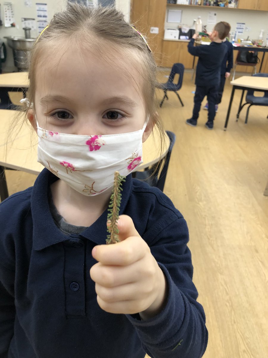 N.B took the tree trimming station very serious today! Look at how well she trimmed this tree branch today!! 🌲✂️ #hcdsbk <a href="/HolyRosaryM/">Holy Rosary, Milton</a>