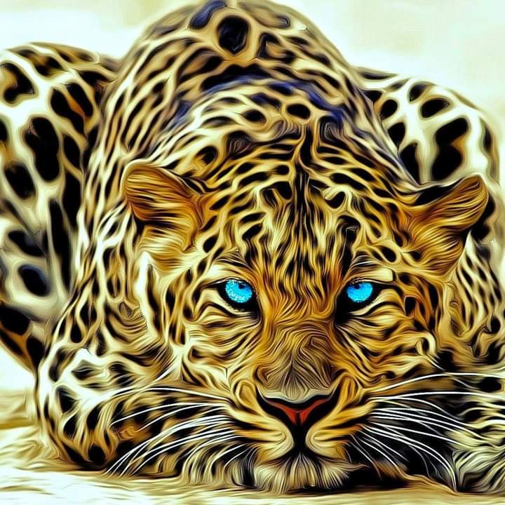 RubenTo77399403's tweet photo. #NuevaFotoDePerfil https://t.co/Z70kdbs31l