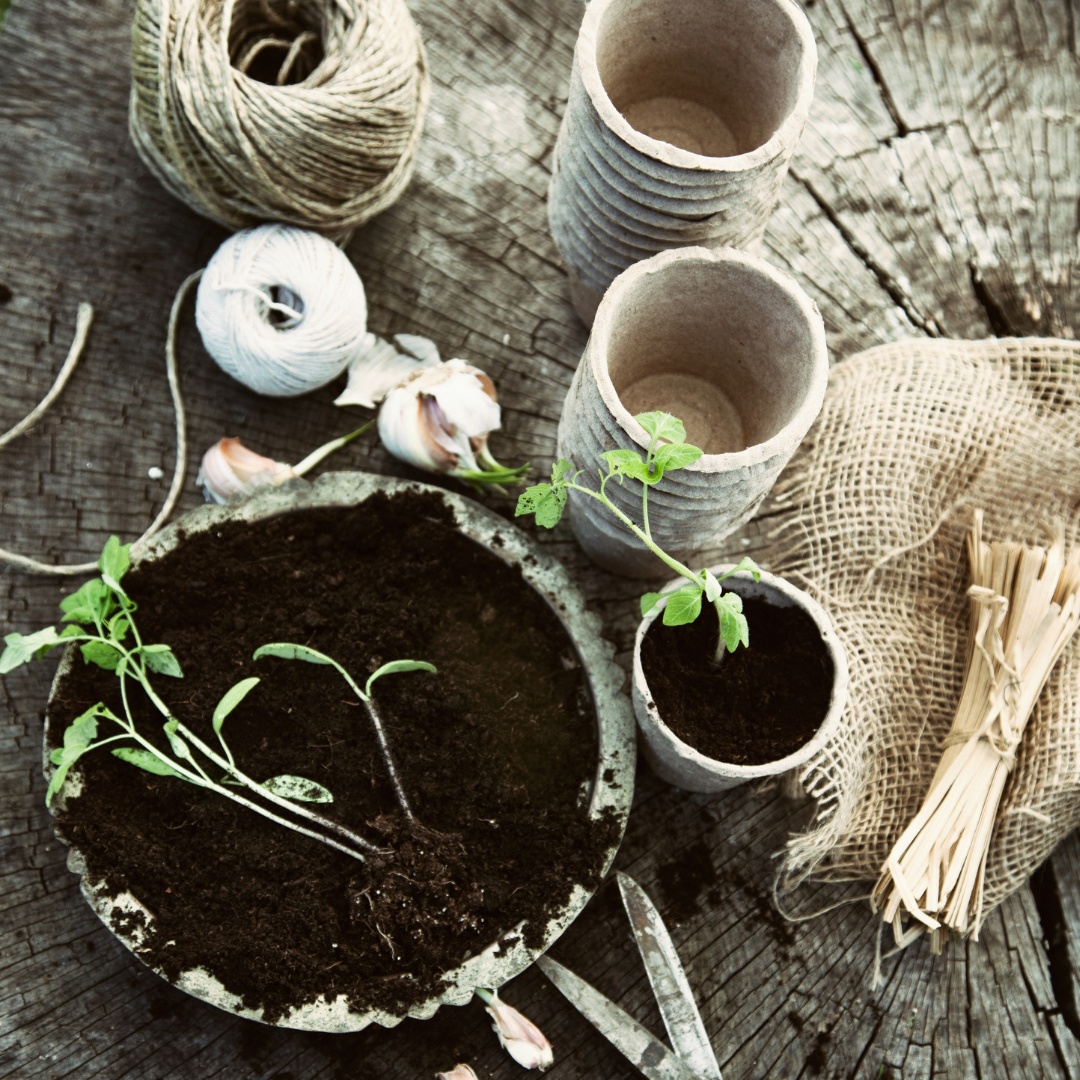 One of the things I enjoy about digging (and there are lots of things I enjoy about it) is the smell of the earth that is released by the spade cutting in and lifting clods that have been buried for a year.

#nmsu #compassion #good #gracious