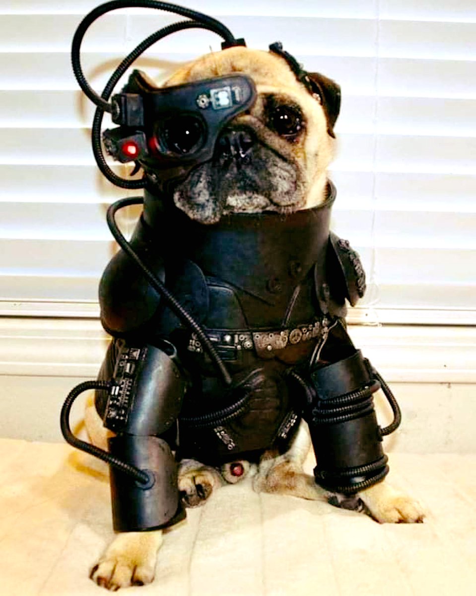 AddSciFan's tweet photo. Locuteness of Borg...You will be apuggilated
#StarTrekTNG https://t.co/XhmJga5JKl