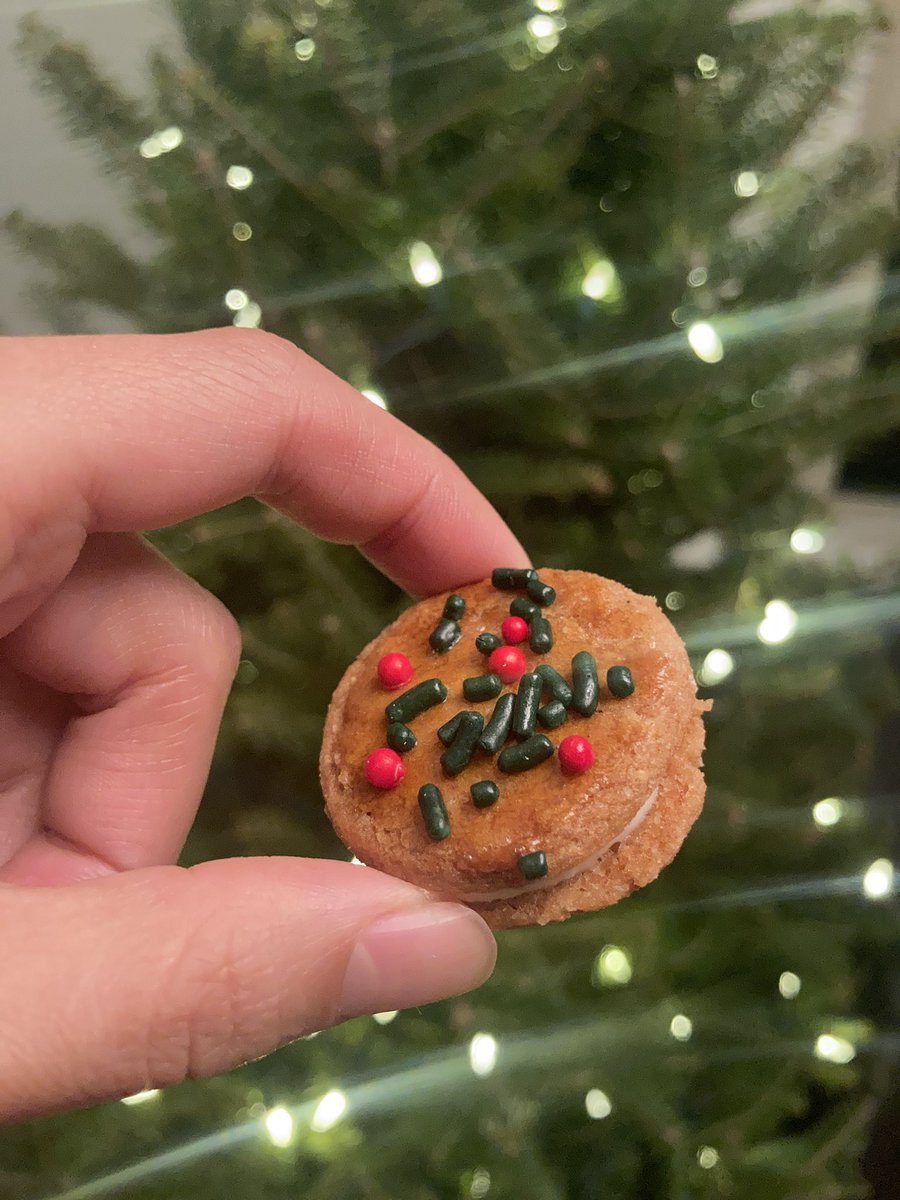 whatseatingrebs's tweet photo. Elvish endeavors 🎄🎄 https://t.co/0TfioGS2RU