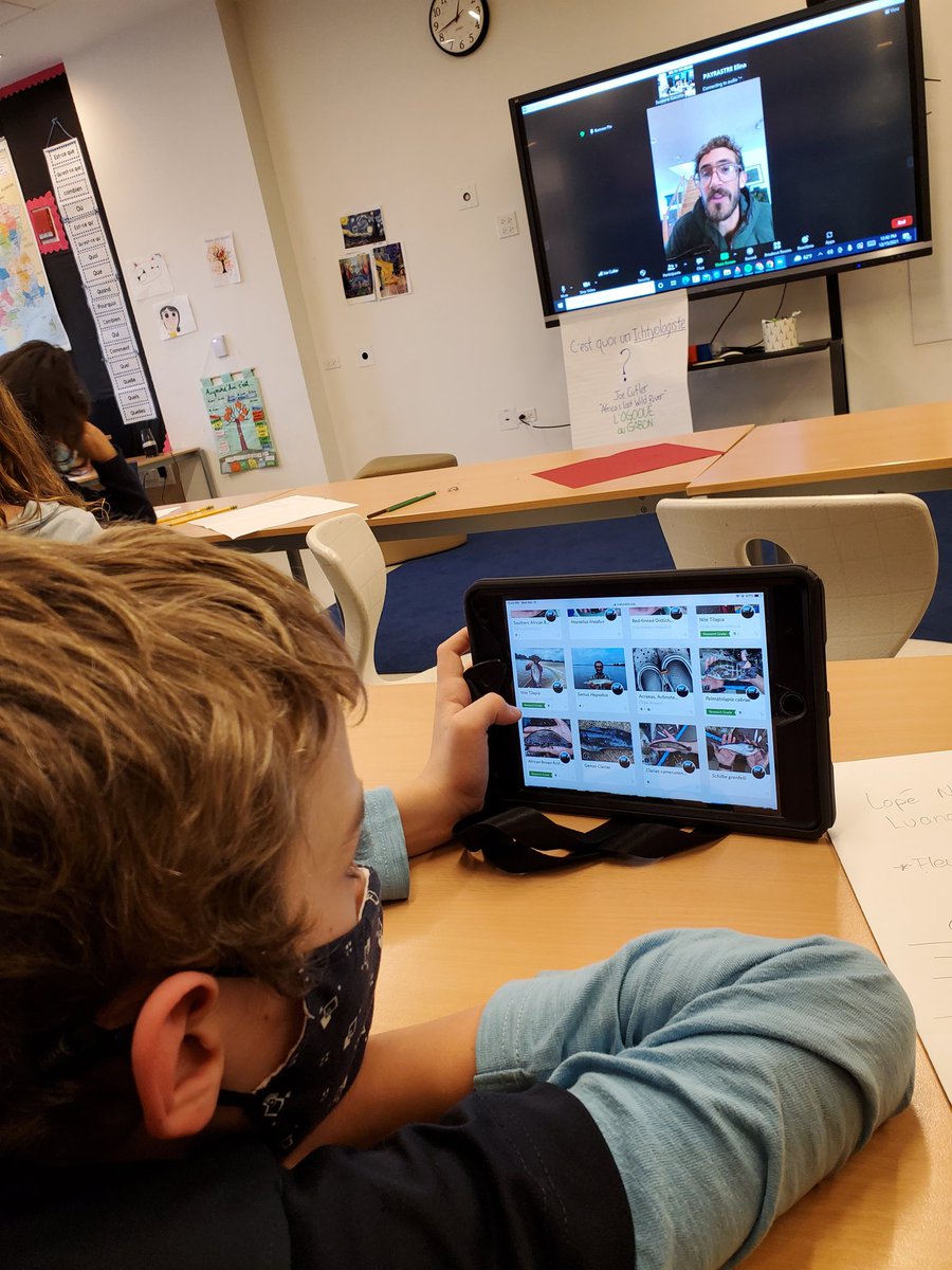 How is speaking French valuable as an Ictheologist and NatGeo Research Scientist in Gabon, Africa? Just ask our G4 French students following their live Zoom with Joe Cutler <a href="/GWAcademyChi/">GEMS World Academy</a> africaslastwildriver.com pic.x.com/F7s4ux8zC5