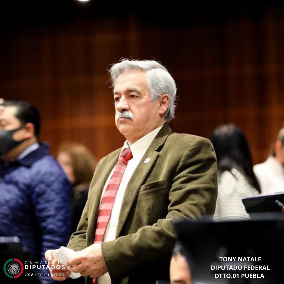 A escasas horas de cerrar este periodo ordinario, los #DiputadosVerdes  de la Cámara de Diputados seguimos comprometidos con la transformación  de nuestro país.
Hoy en Sesión Ordinaria:
- Discusión y votación de dictámenes
- Elección de los integrantes de la Comisión Permanente.