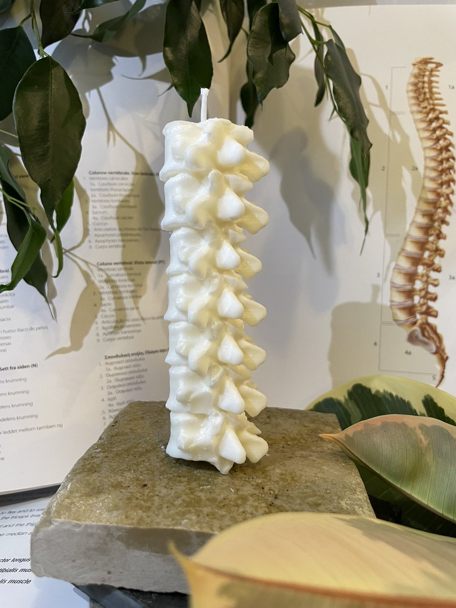 🦴 Released now: SPINE CANDLE 🦴

Accessorise your desk with one of the most important and complex skeletal structures of the human body! 📚📖

The perfect for #chiropractors, #doctors, #alliedhealthprofessionals, #physiotherapists or anyone who works in healthcare! (Link in bio)