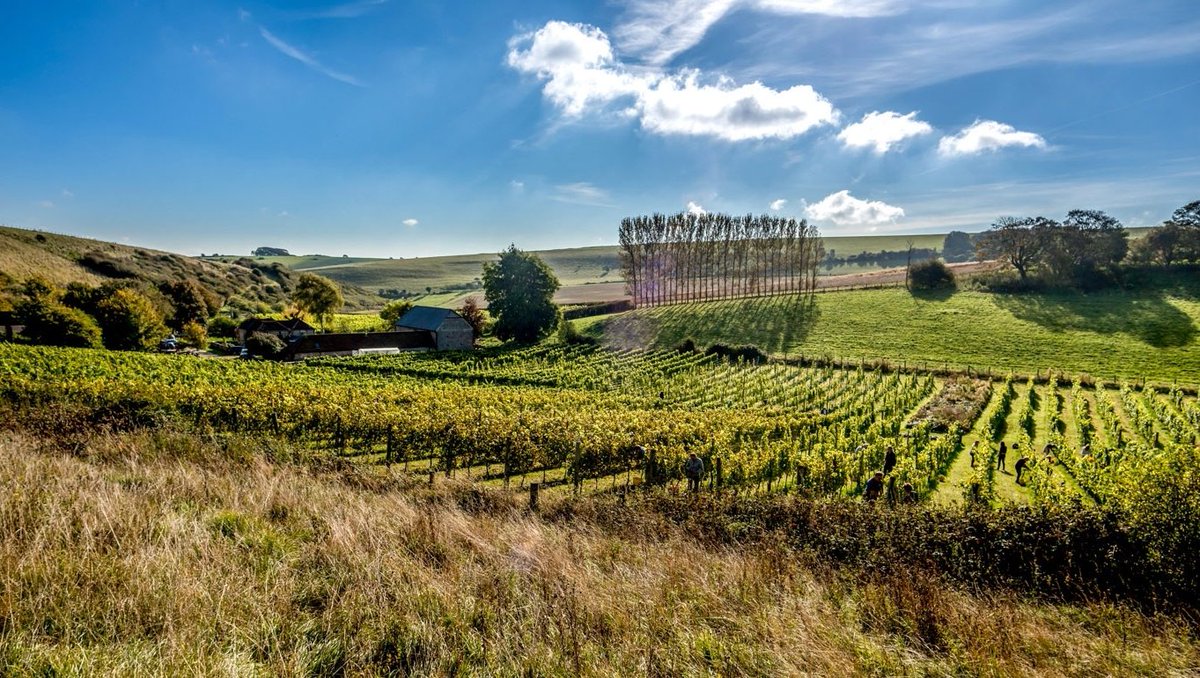 worldoffinewine's tweet photo. Reflections from a year with wine: @BreakyBottom_ //
Margaret Rand explains why she was inspired by the Sussex sparkling wines of Peter Hall’s Breaky Bottom.
See link to learn more https://t.co/8MZcGWhZqH
#worldoffinewine #breakybottom #peterhall
Photo: by Andrew Hasson https://t.co/nLOBChH10A