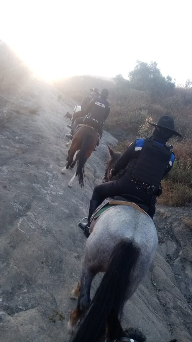 #Operativos y #Dispositivos 👮🚨🚔
#Seguridad #Chimalhuacán Unidad de Caballería vigila la parte alta del municipio, recorre el perímetro del Parque Ecoturístico el Chimalhuache, con el objetivo de prevenir delitos y faltas administrativas.
#TrabajamosPorTuSeguridad
