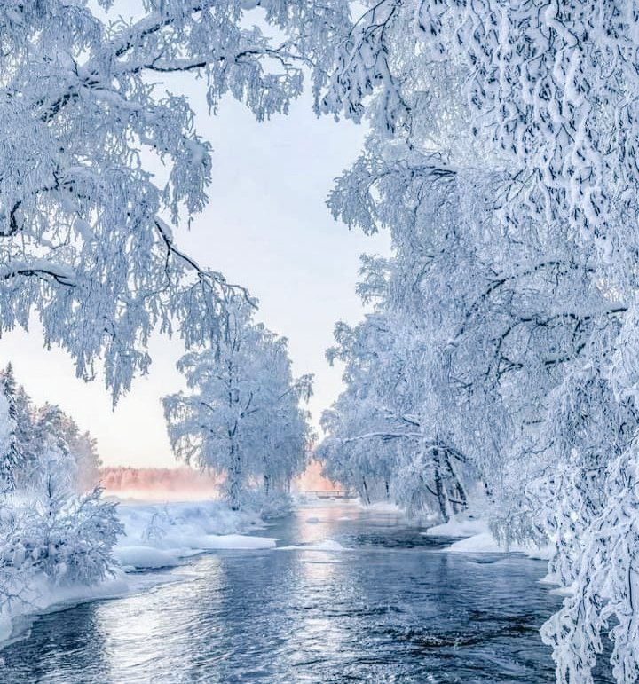 Pictures tweet media