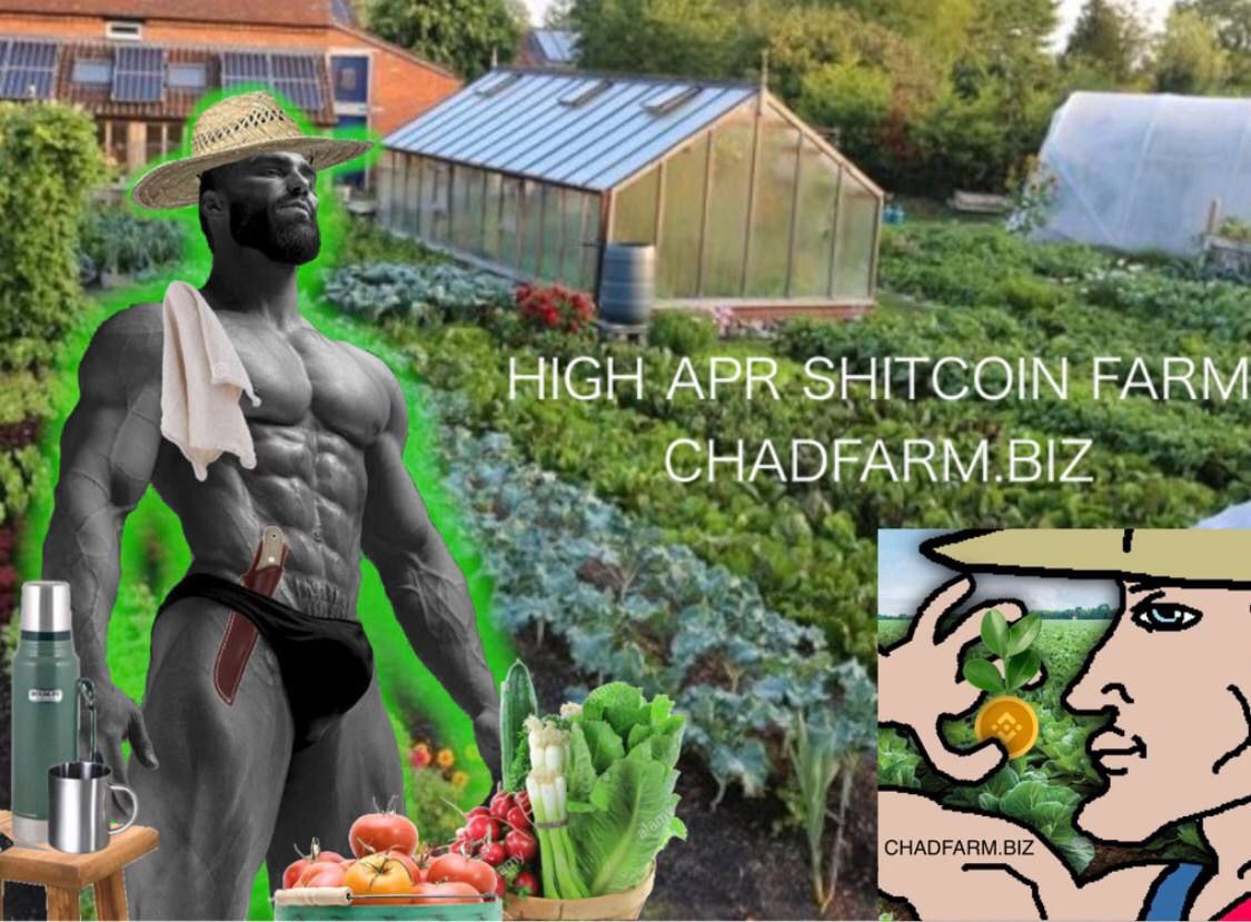 CryptoShill3000's tweet photo. #chadfarm #defi @dogebonk_token https://t.co/5xKe3a45kV