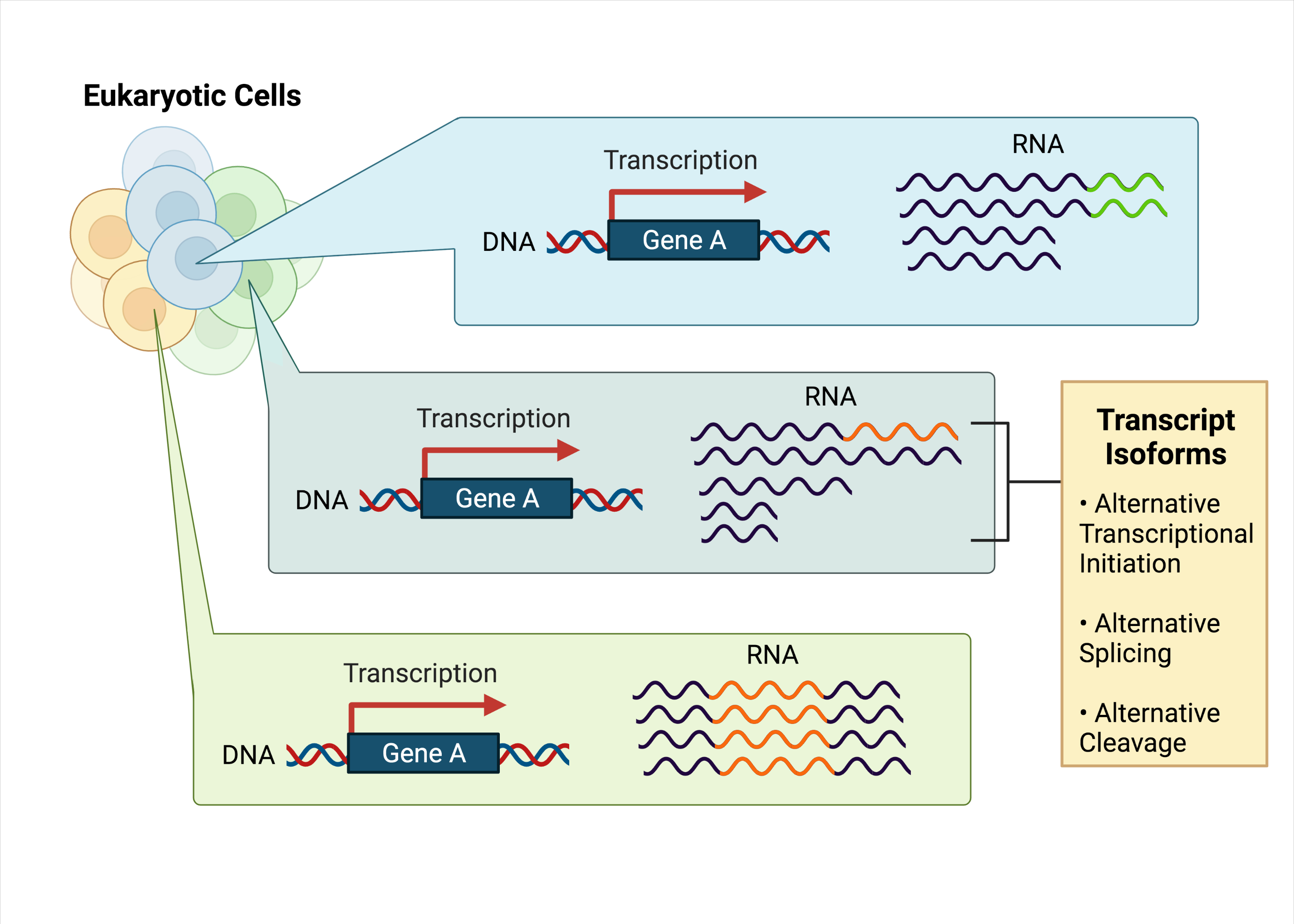 Parham Kazemi (parham_kzm) / Twitter