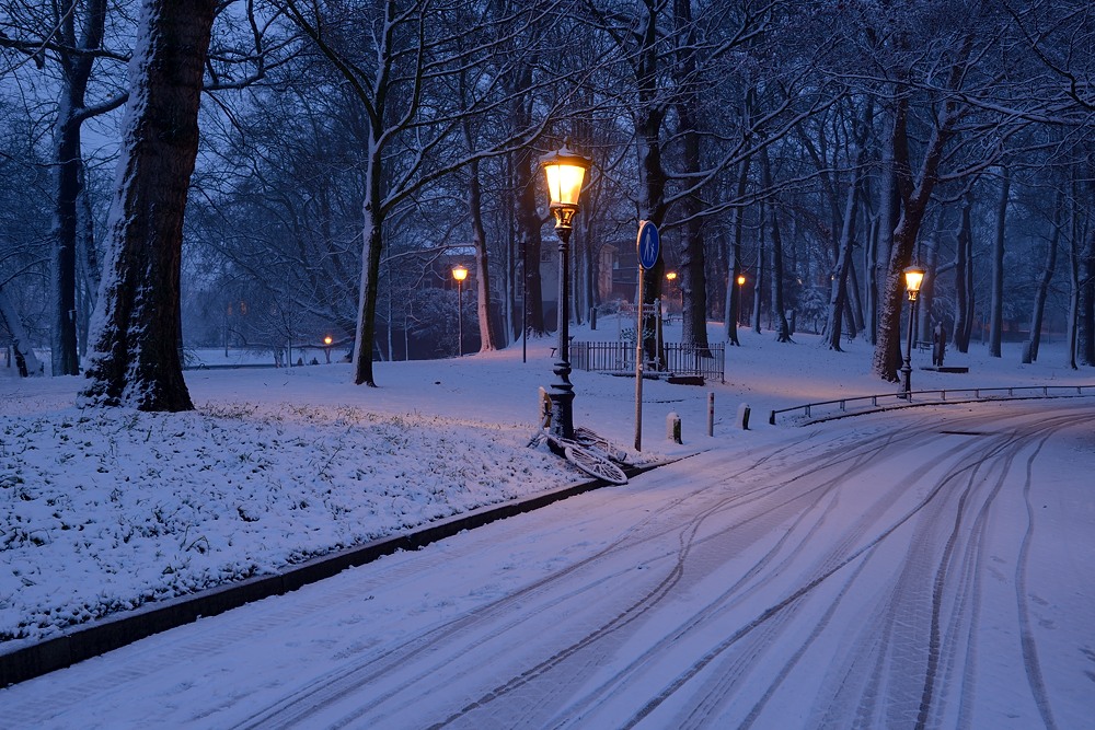 DonkerUtrecht's tweet photo. Zocherpark

De mooiste kerstkado's van het Utrechtse donker (waaronder kalenders en speelkaarten) vind je hier:

https://t.co/pEF0SuAVti https://t.co/sFNkxWAjcG